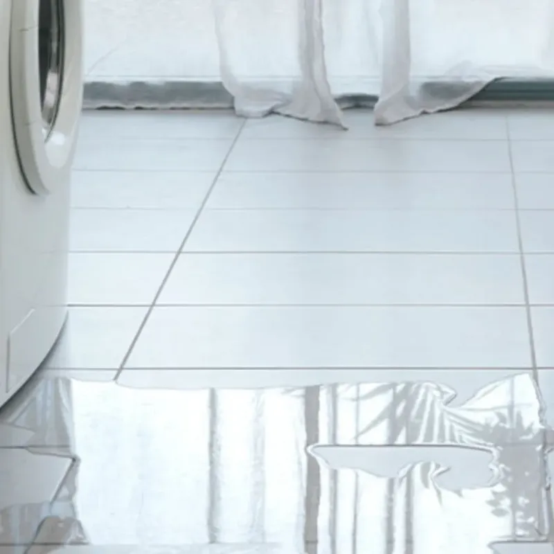 Appliance Leak Cleanup in Hogansville, GA